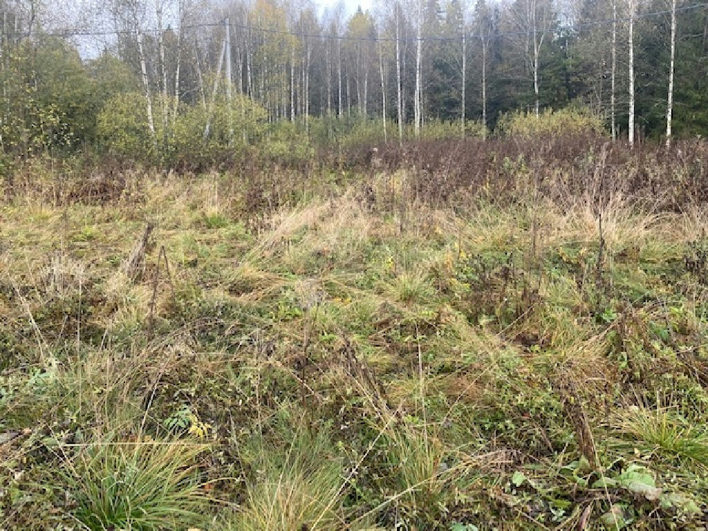 земля городской округ Дмитровский д Ассаурово фото 3