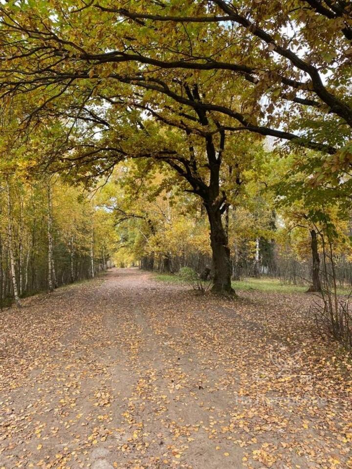 земля городской округ Щёлково г. Кожинская ул фото 8