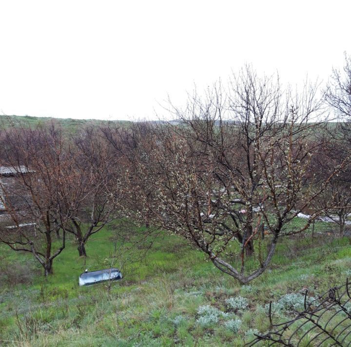 земля р-н Красноармейский тер Луганское муниципальное образование Голубая Даль СНТ, 3 фото 1