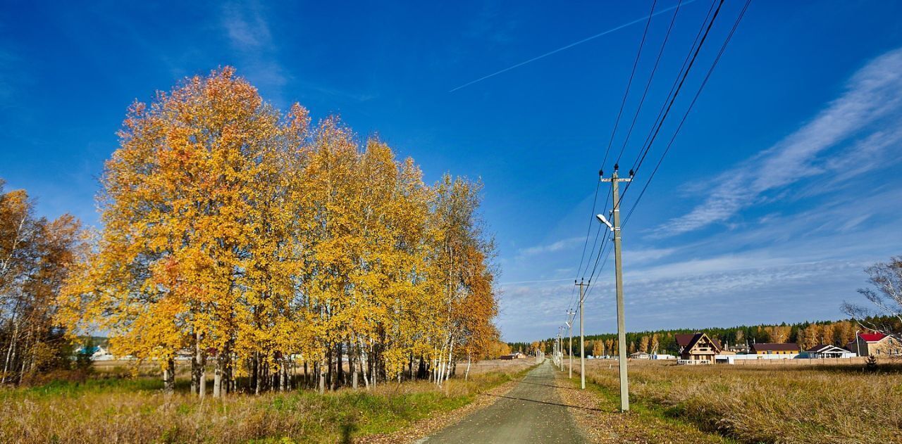 земля р-н Сысертский Брусника кп фото 1