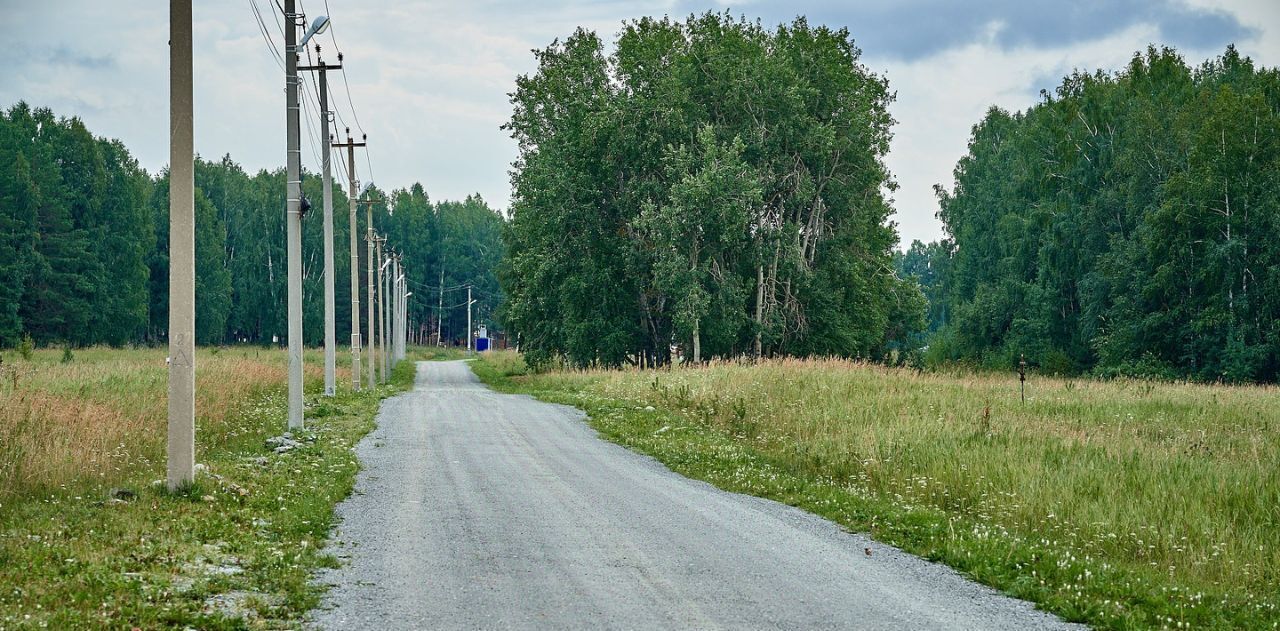 земля р-н Сысертский Брусника кп фото 6