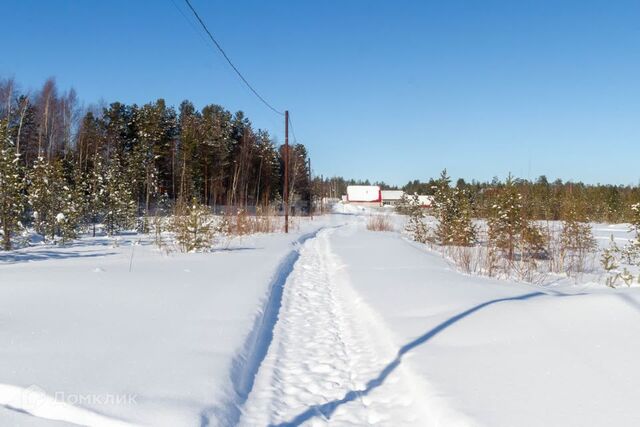 городской округ Сургут, ПСОК Автомобилист-1 фото