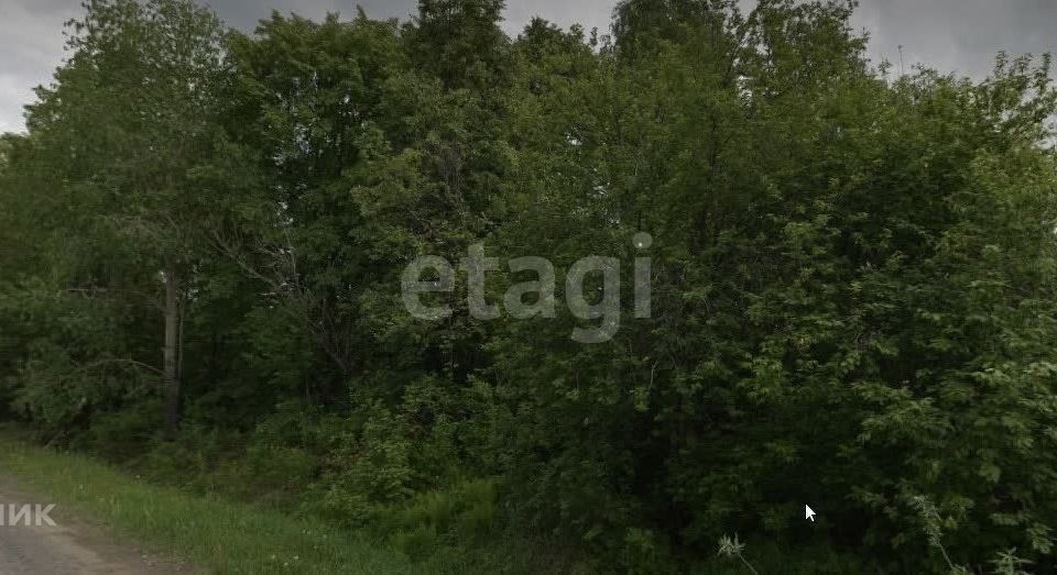 земля г Тобольск садоводческое товарищество Вымпел, городской округ Тобольск фото 2