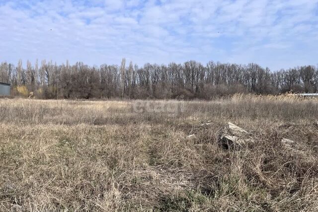 муниципальное образование Краснодар, Карасунский внутригородской округ фото