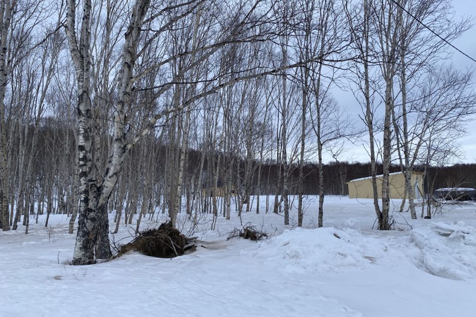 земля р-н Елизовский п Светлый мкр Молодёжный фото 3