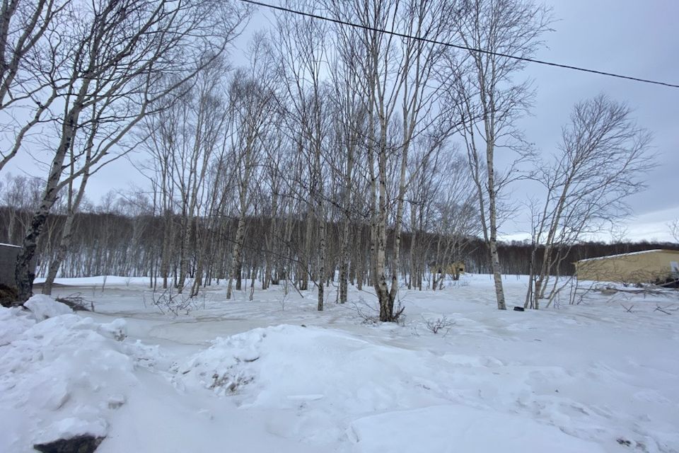 земля р-н Елизовский п Светлый мкр Молодёжный фото 4