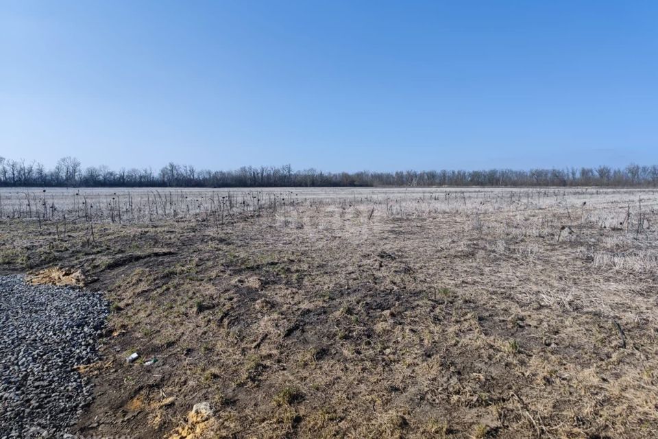 земля р-н Аксайский п Щепкин ул Дружбы народов фото 2