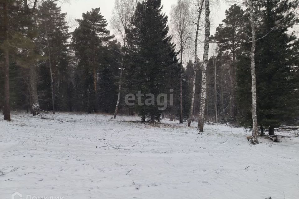 дом р-н Томский д Некрасово СТ Медик фото 7