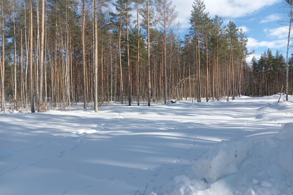 земля р-н Спасский село Ярустово фото 1