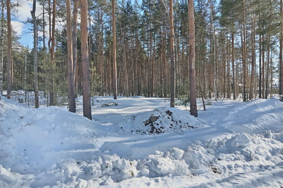 земля р-н Спасский село Ярустово фото 1