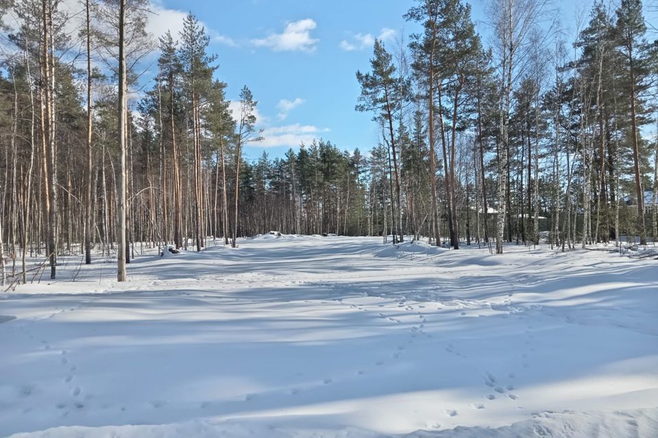 земля р-н Спасский село Ярустово фото 2