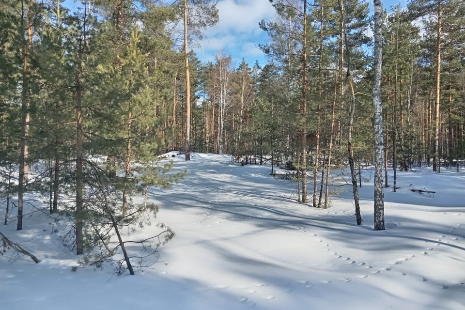 земля р-н Спасский село Ярустово фото 2