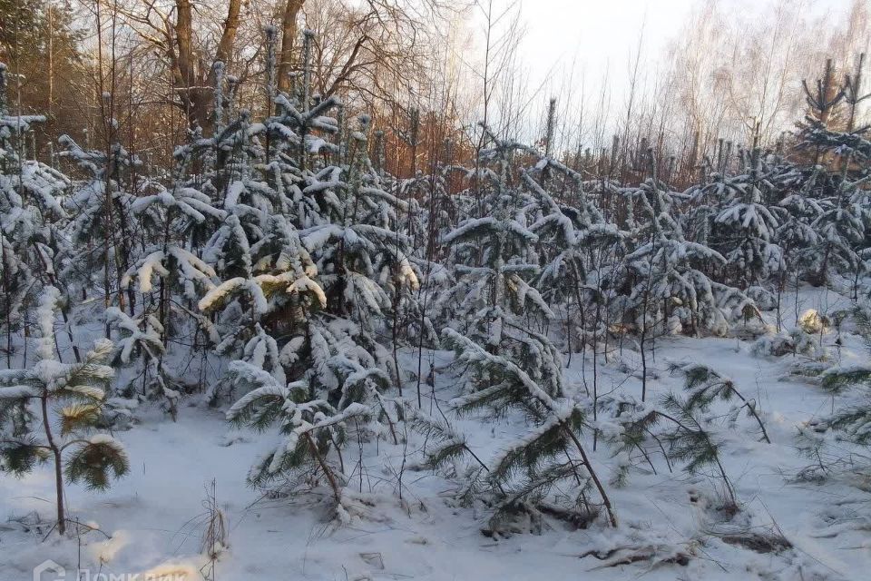 земля г Воронеж ул Придонская городской округ Воронеж фото 3