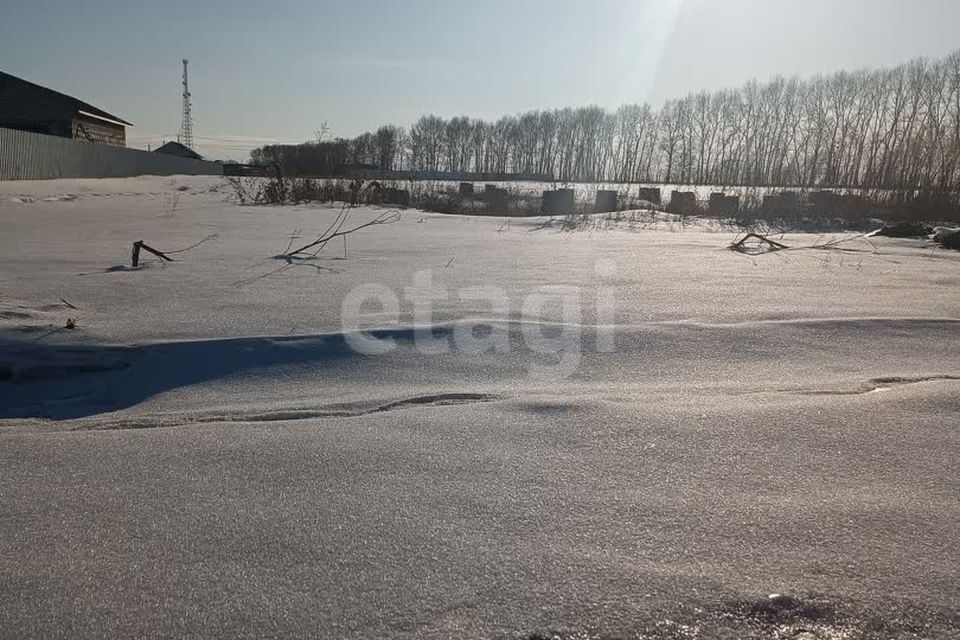 земля р-н Тамбовский с Тамбовка ул Северная фото 3