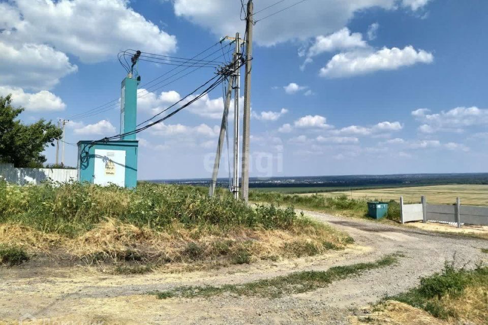 земля р-н Рамонский с Гвоздёвка ул Гагарина фото 7