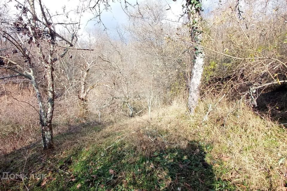 земля г Сочи с Верхний Юрт городской округ Сочи, садоводческое товарищество Вертикаль фото 3