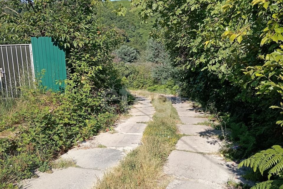 земля городской округ Сочи, село Черешня фото 3