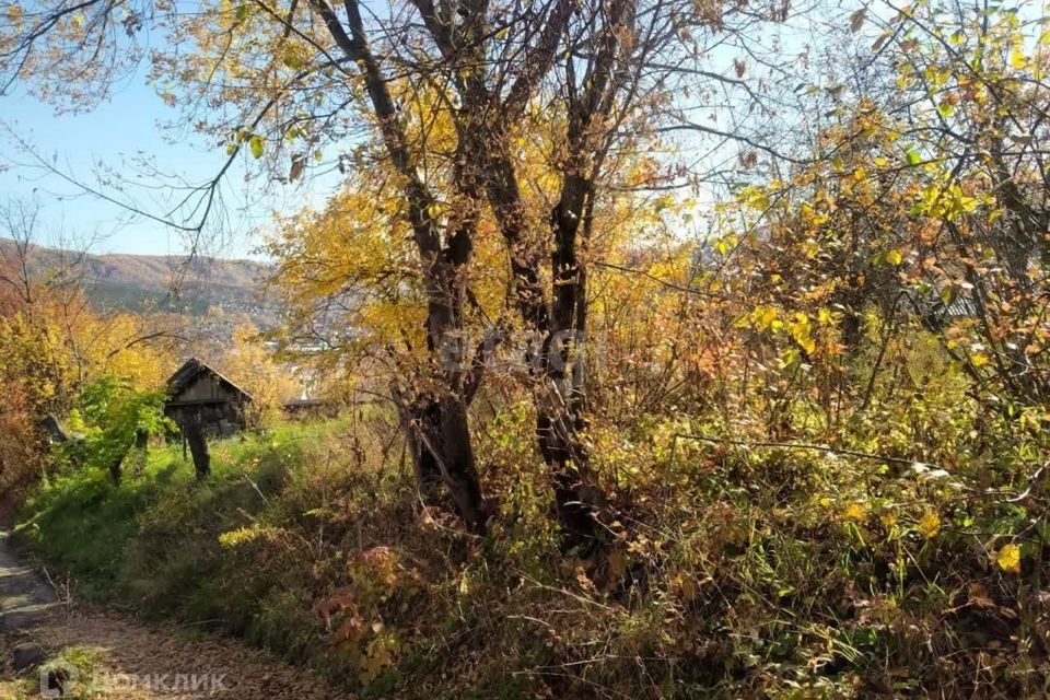 земля г Горно-Алтайск городской округ Горно-Алтайск, СНТ Садовод фото 6