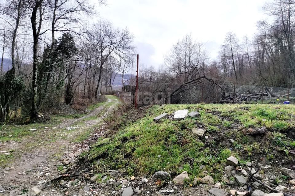 земля городской округ Сочи, село Вардане-Верино фото 4