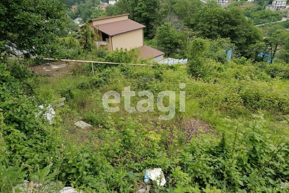 земля городской округ Сочи, садоводческое товарищество Клён фото 3