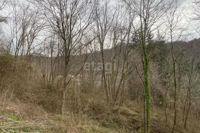 земля с Раздольное городской округ Сочи, СТ Кедр фото