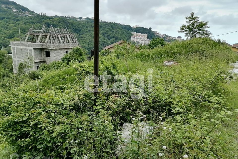 земля городской округ Сочи, садоводческое товарищество Клён фото 6