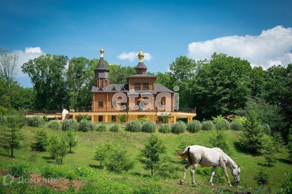 земля городской округ Сочи, село Каштаны фото 7