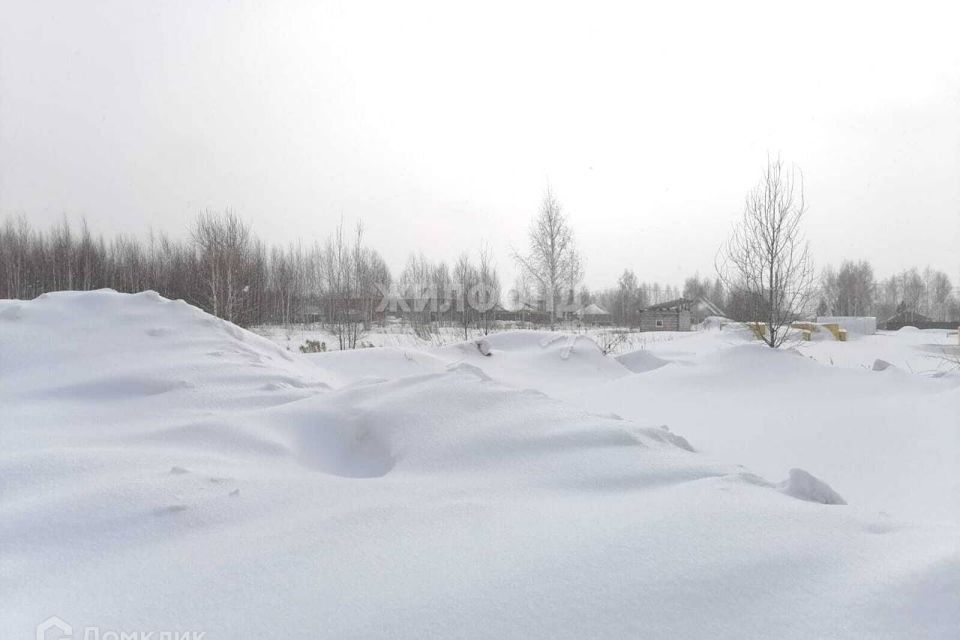 земля г Новосибирск Калининский район, городской округ Новосибирск фото 1