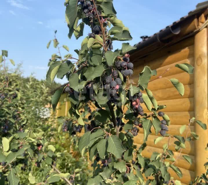 дом Берёзовский городской округ, Берёзовский, коллективный сад № 8 фото 1