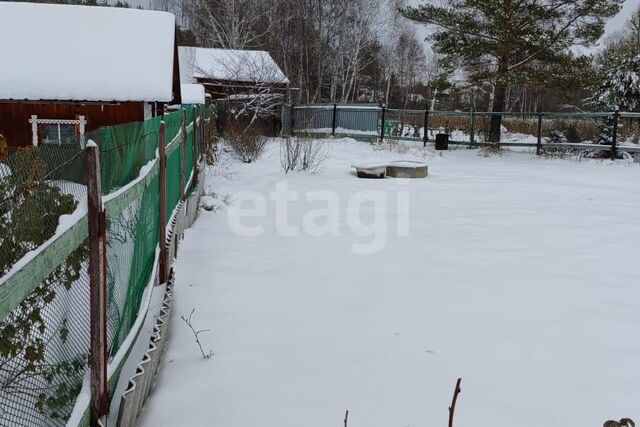 Екатеринбург, коллективный сад Легенда, 76 фото