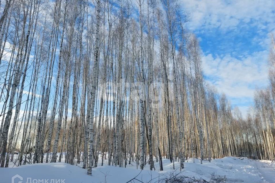 земля муниципальное образование Тула, село Частое фото 3