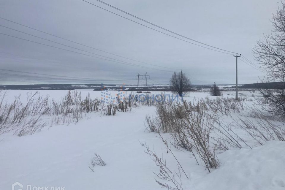 земля р-н Лысковский с Саурово ул Нижняя фото 4