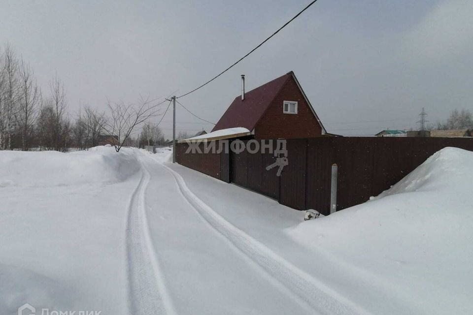 земля г Новосибирск Калининский район, городской округ Новосибирск фото 3