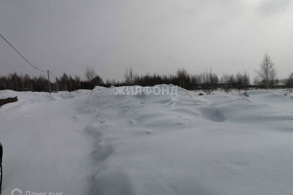 земля г Новосибирск Калининский район, городской округ Новосибирск фото 2