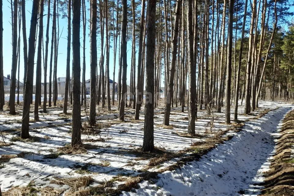 земля г Воронеж городской округ Воронеж, Посёлок, улица Дачный фото 10