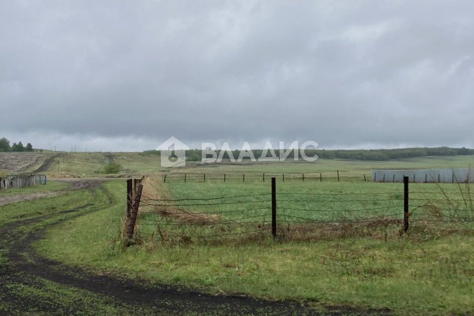 земля р-н Кармаскалинский с Александровка ул Нижняя фото 9