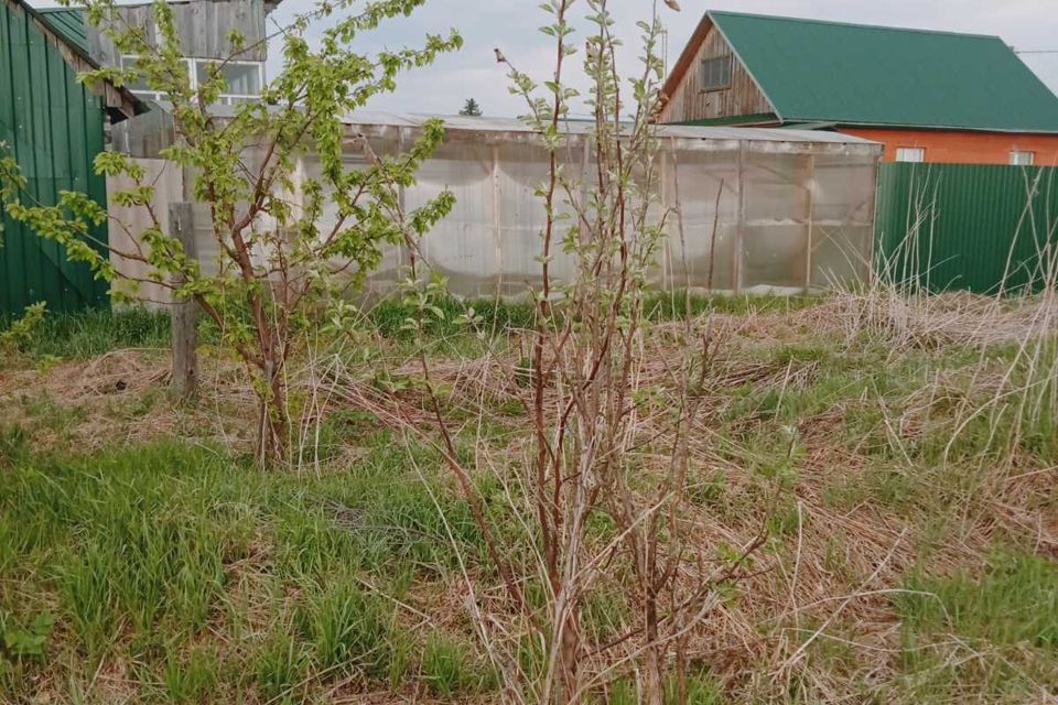 дом р-н Омутинский село Омутинское фото 10