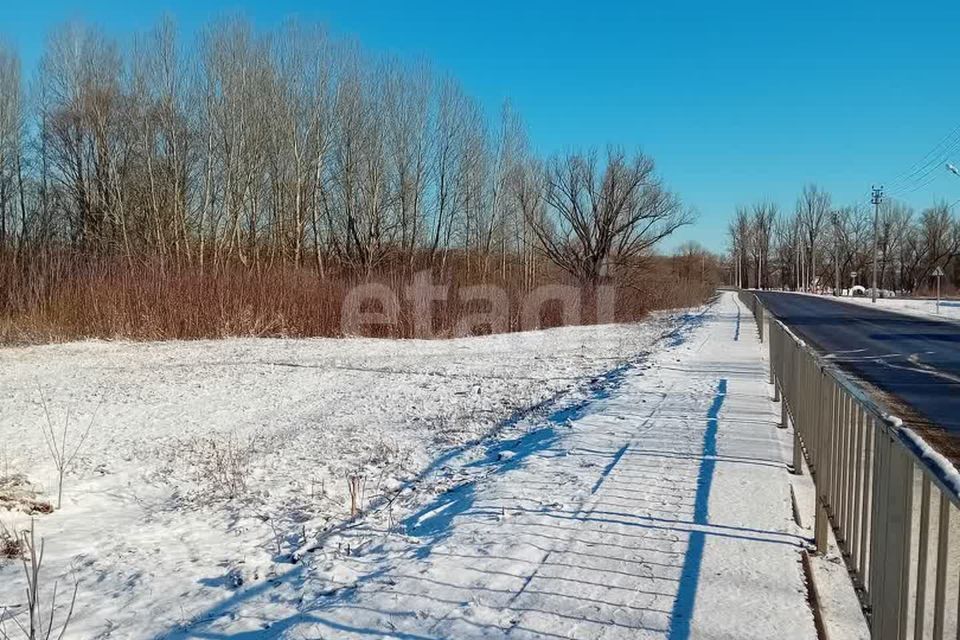 земля р-н Красногвардейский с Засосна ул Ленина фото 2