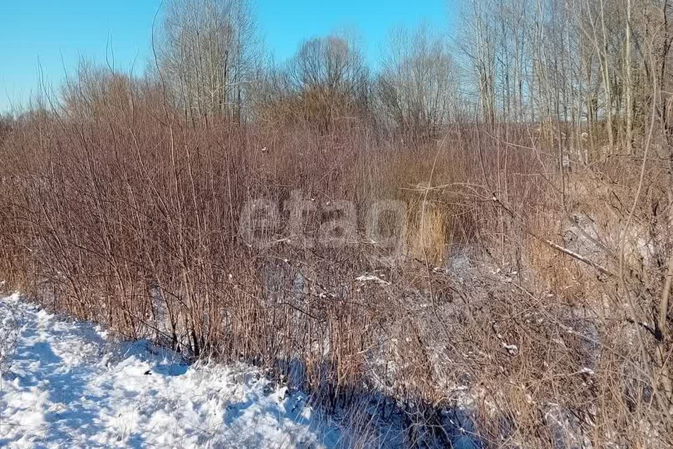 земля р-н Красногвардейский с Засосна ул Ленина фото 4