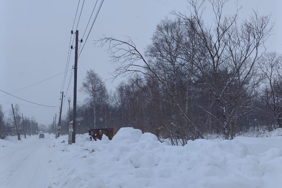 земля г Южно-Сахалинск городской округ Южно-Сахалинск, СНТ Вишенка фото 3