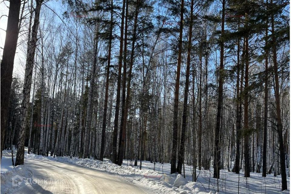 земля р-н Ирбитский Екатеринбург, коттеджный посёлок Улесье, Гранатовая улица фото 8