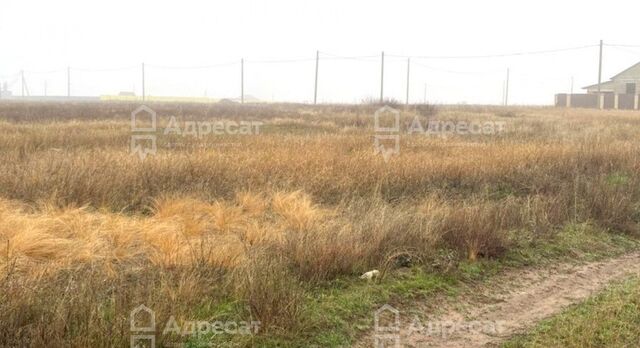 пгт Верхнезареченский р-н Тракторозаводский ул Березовая фото