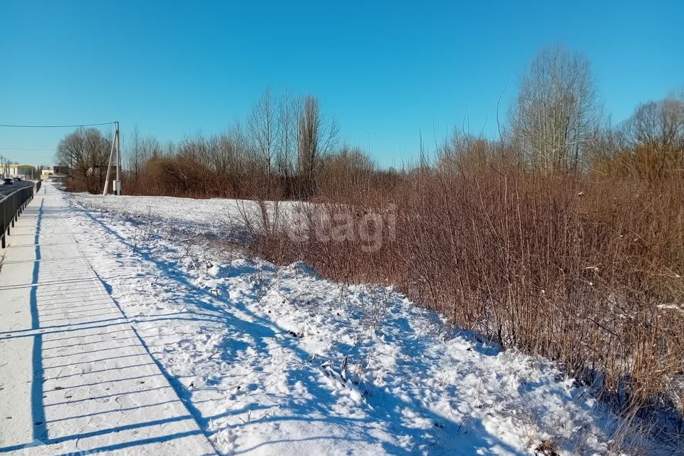 земля р-н Красногвардейский с Засосна ул Ленина фото 6