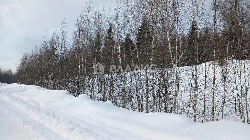 земля городской округ Солнечногорск п Лунёво ул Дубовая фото 7