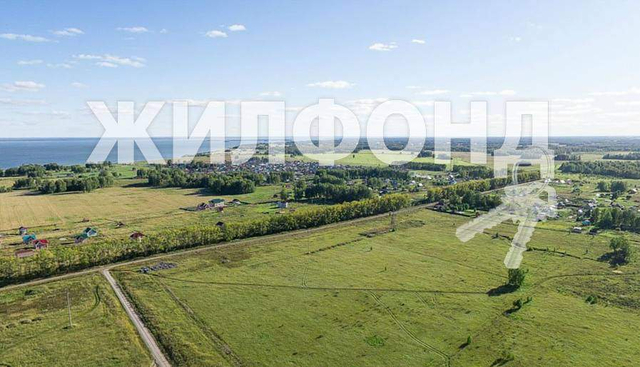 земля р-н Новосибирский с Ленинское фото