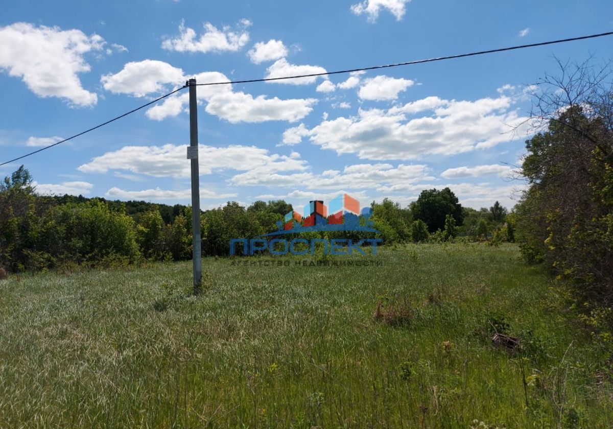 земля городской округ Кашира д. Наумовское, Весенняя ул фото 5