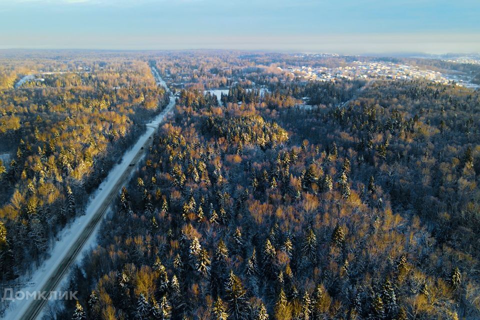 земля городской округ Дмитровский д Сазонки 154 фото 3