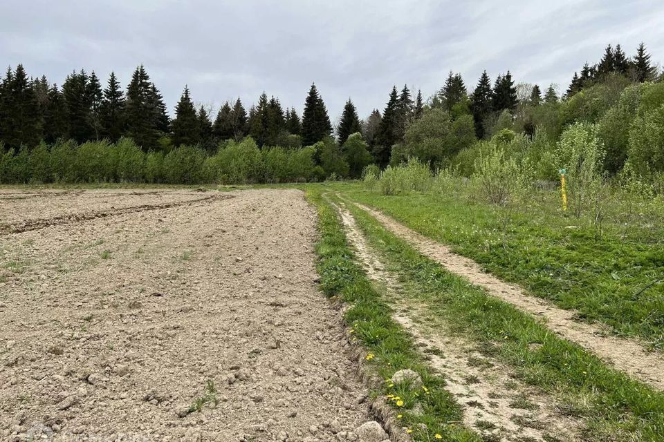 земля р-н Ломоносовский Виллозское городское поселение фото 2