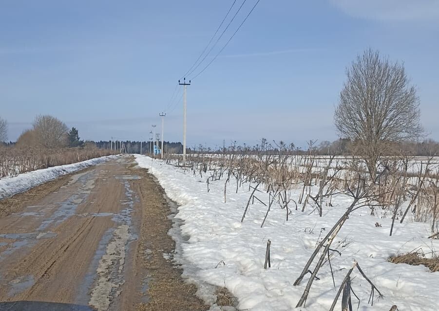 земля р-н Волосовский деревня Руссковицы фото 9