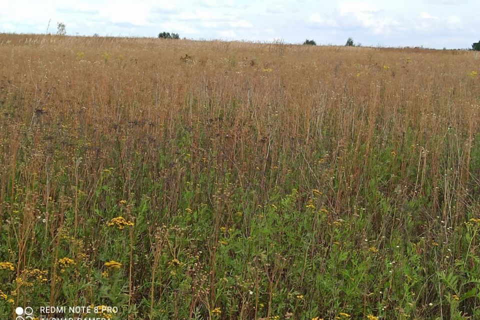 земля р-н Собинский муниципальное образование Колокшанское фото 3